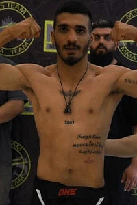 Mohammad Amin Arab Ameri