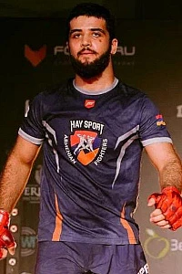 Davit Stepanyan