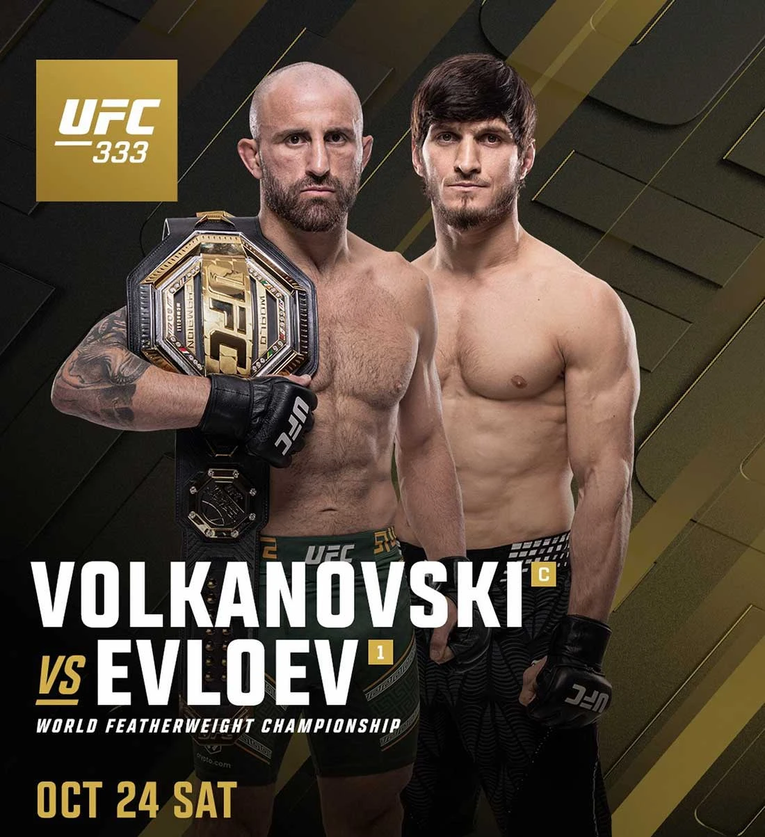 Постер UFC 333
