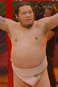 Hidemasa Meigetsuin
